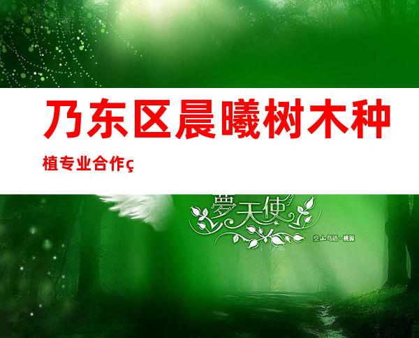 乃东区晨曦树木种植专业合作社