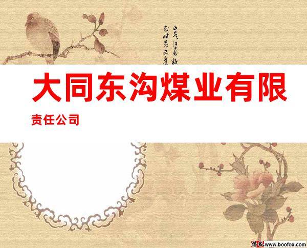 大同东沟煤业有限责任公司