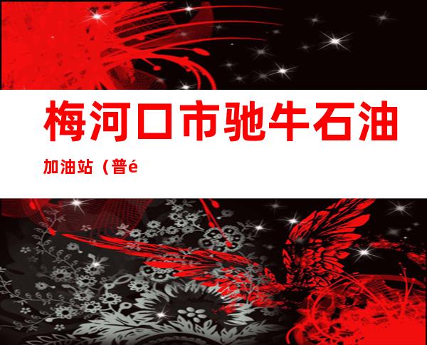 梅河口市驰牛石油加油站（普通合伙）